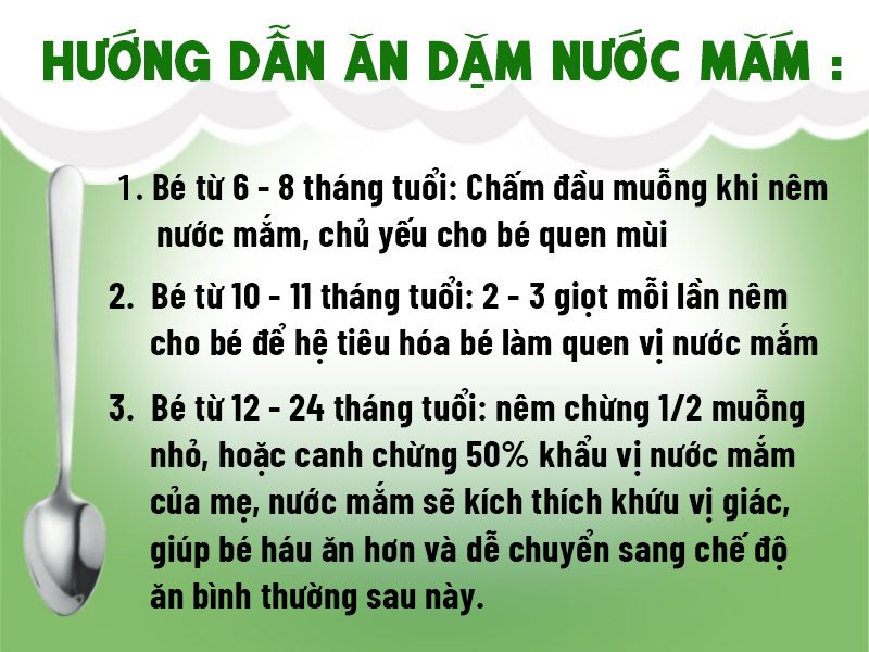 Hướng Dẫn Cách Dùng Nước Mắm Với Các Độ Tuổi Bé Ăn Dặm