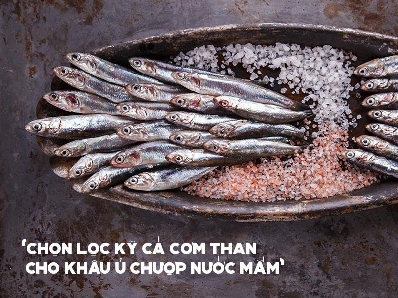 nuoc-mam-nhi-ca-com-than-lang-chai-xua-1 Chọn lọc cá cơm than đạt chuẩn cho khâu ủ chượp nước mắm